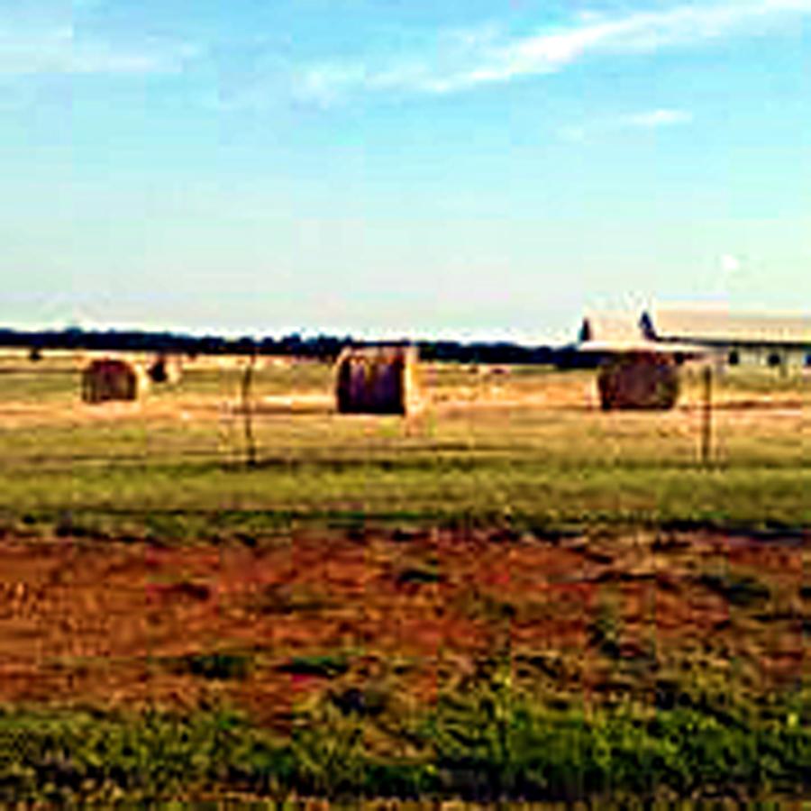 Field on old Grady farm
