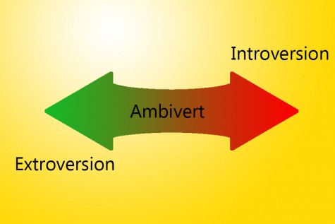 Quiz: Are you an introvert, extrovert or an ambivert?
