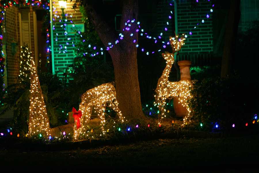 Photo Gallery: O Christmas Lights