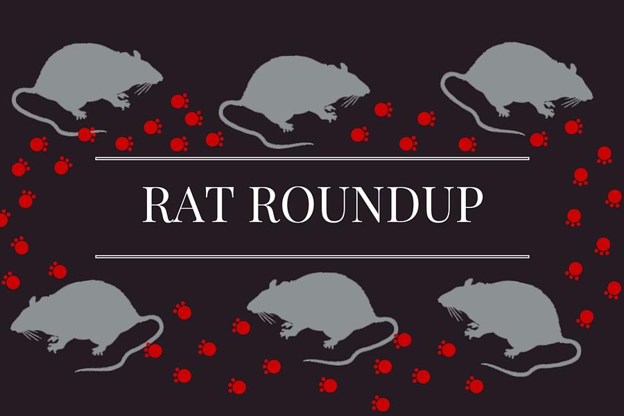 Rat Roundup