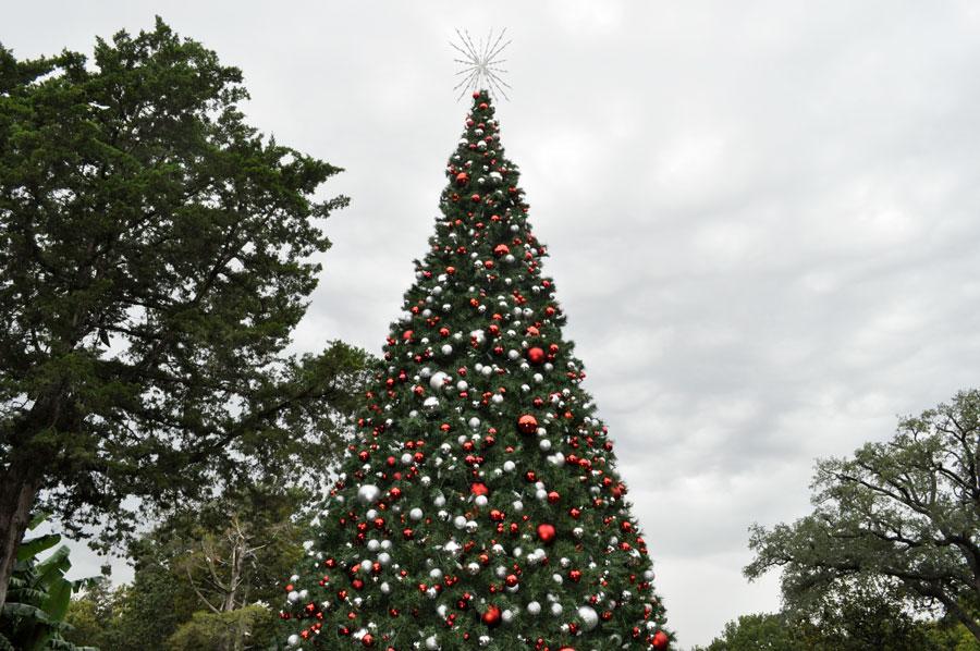 The Arboretum is exhibiting Christmas lights, carols, and gazebos in honor of the 12 Nights of Christmas. The Christmas tree is the center piece of it.