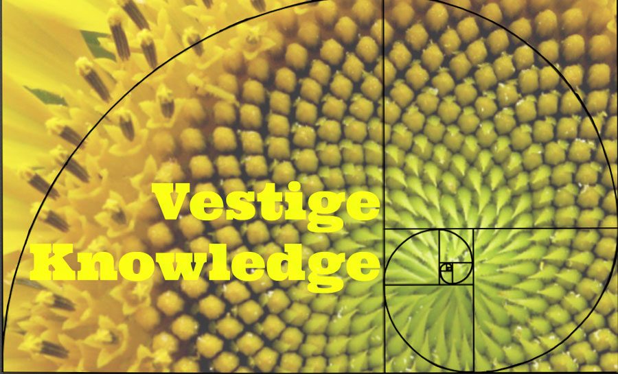 Vestige Knowledge: Beginning to Inquire