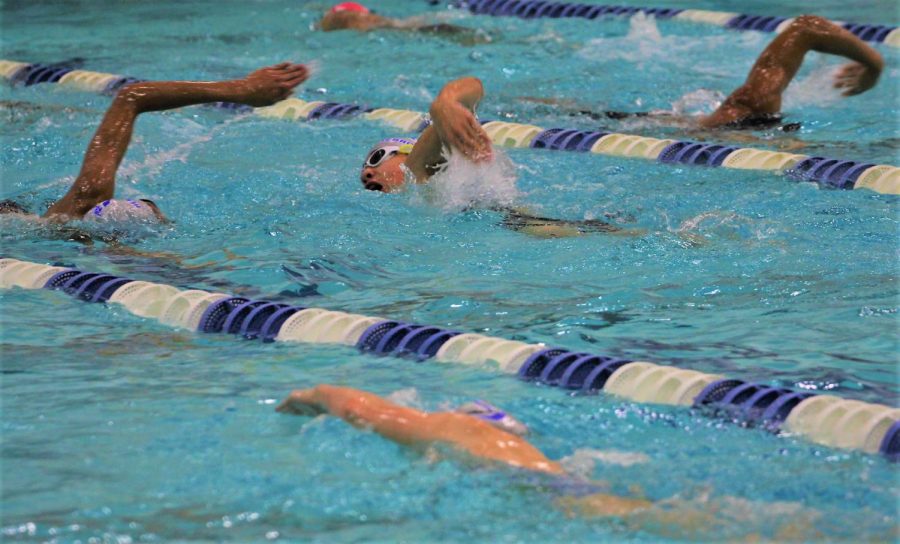 Swimmers practice their strokes with partners during their morning practice session. The swim and dives first meet was the GCISD pentathlon on Sept. 29.