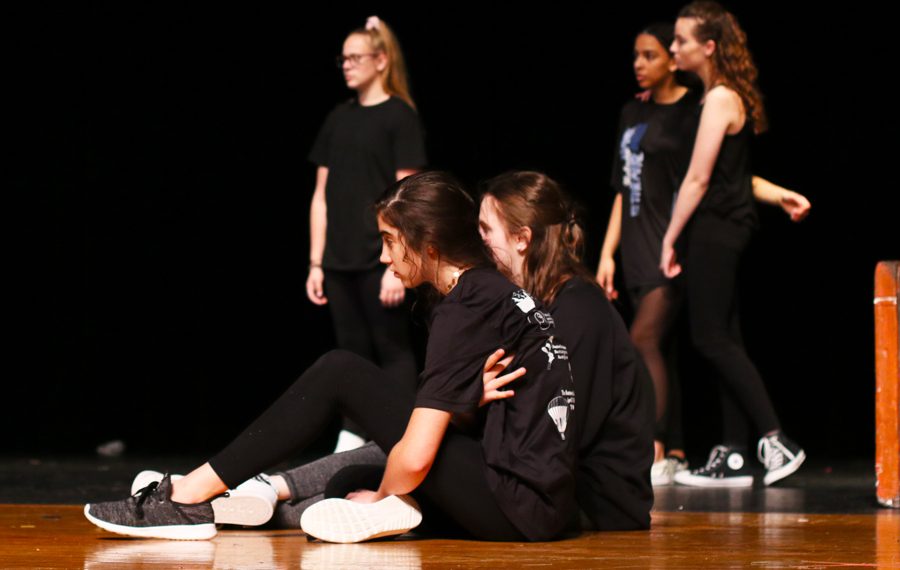 The cast of Rosencrantz and Guildenstern are Dead rehearse after school. Rosencrantz and Guildenstern are Dead will be performed on Nov. 13, one night after the Nov.12 performance of The Childrens Hour.  