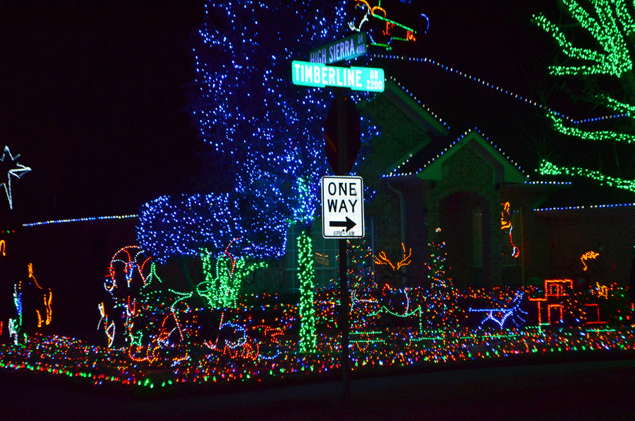 A house has lights not just on the house, but on all of the trees, the fence, and even the grass. 