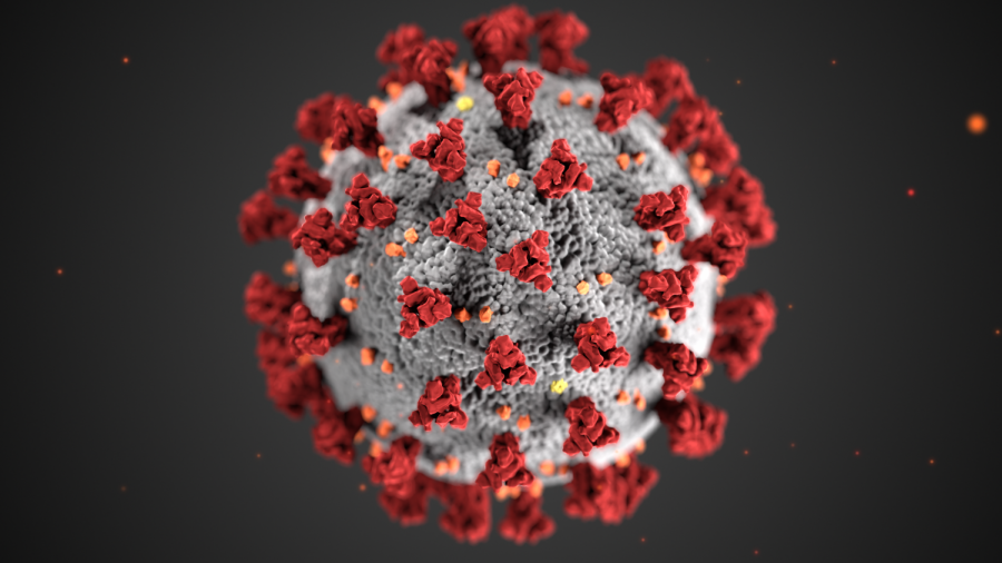 COVID-19, otherwise known as the coronavirus, is an illness caused by a virus that can spread through human contact. The World Health Organization confirmed the virus a pandemic on March 11, 2020 and it has claimed the lives of over 100,000 people globally. 