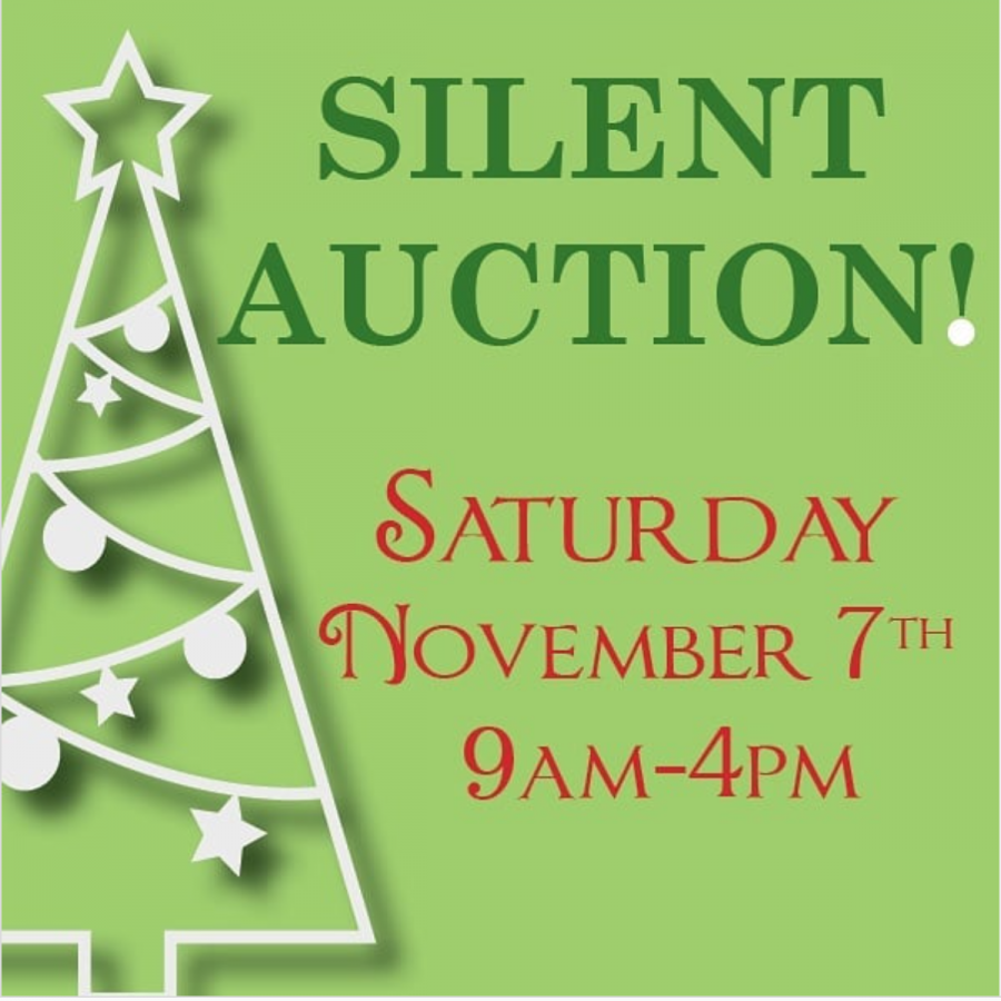 Silver Wings to host virtual silent auction