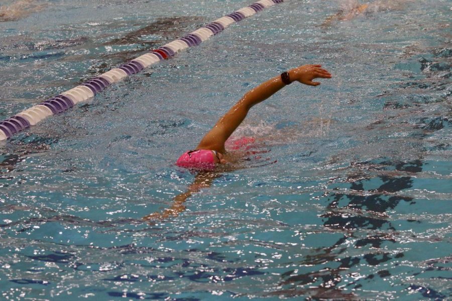 Senior Miguel Barcellano practices a freestyle stroke during morning practice. This is Barcellanos fourth year on the team and he will be competing in two individuals events and two relays. Barcellano has been focused on mental preparation. My coach says the race is either won or lost even before you step on the blocks, Barcellano said. 