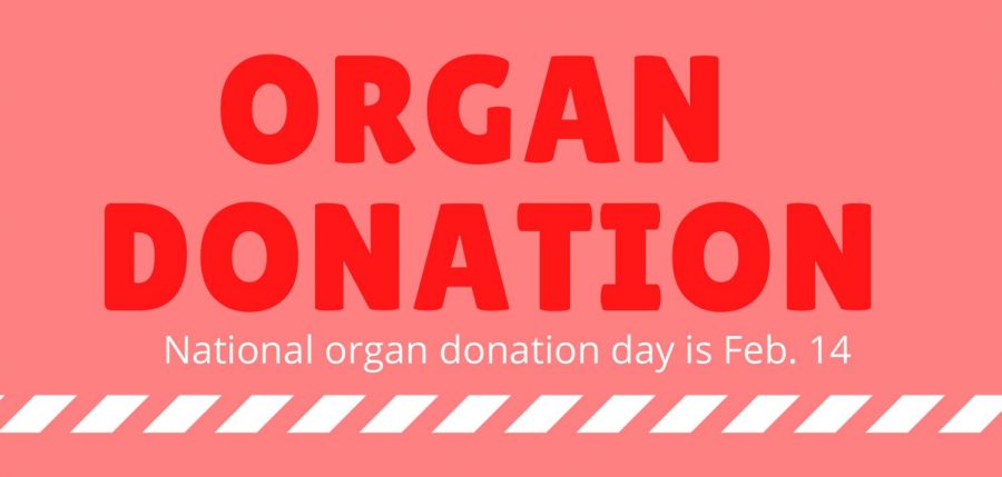 Infographic: Organ donation