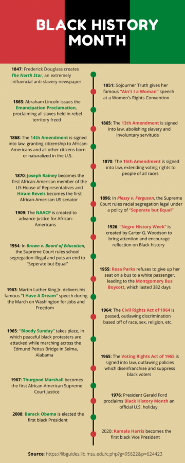black history month infographic assignment