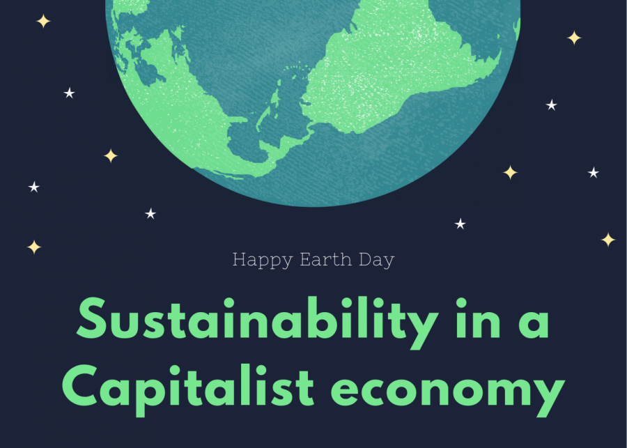 Sustainability in a Capitalist economy