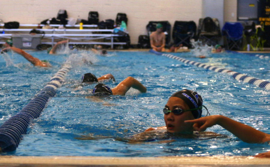 Swim competes during the TISCA finals meet on Nov. 20.