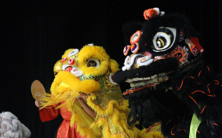  As the final show for Hawk Fest, the 2van lion dance group puts on a performance, expressing Asian culture to the American world through dancing and music. Members of the lion dance group dressed up in dragon costumes. One member also dressed up in a Buddha costume and performed in front of the festival attendees. 