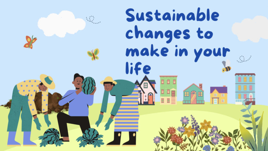 Infographic: Sustainable changes to make in your life
