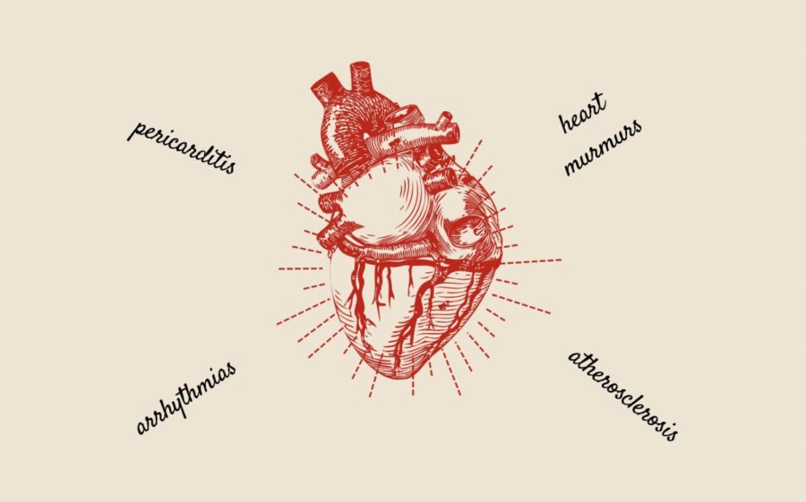 Heart club holds online fundraiser against pediatric heart diseases