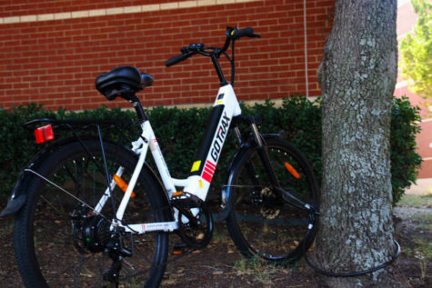 A bike is locked to a tree outside of the main campus. Students have to lock their bikes to trees or other objects in order to keep their bikes secure. 
