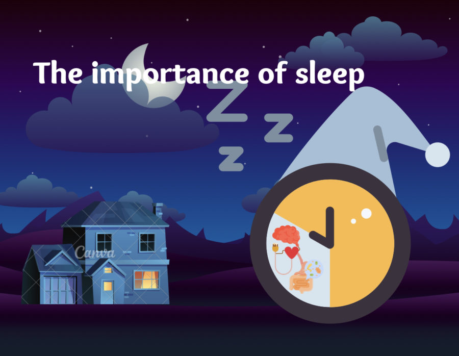 Infographic: The importance of sleep