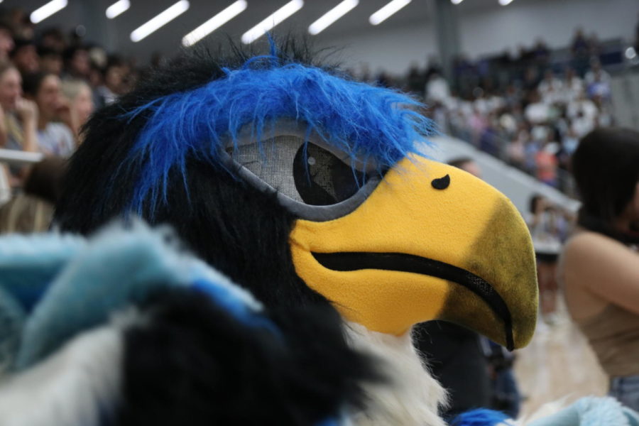 Tammy cheers as senior Landon Hill is pronounced homecoming king. She attended the homecoming pep rally on Sept. 26 as Harry the Hawk. 