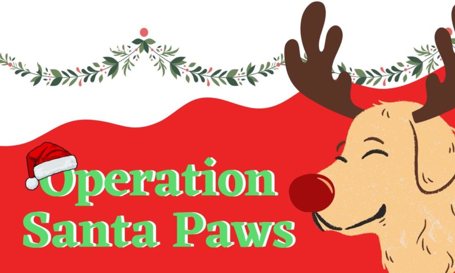 Infographic: Operation Santa Paws