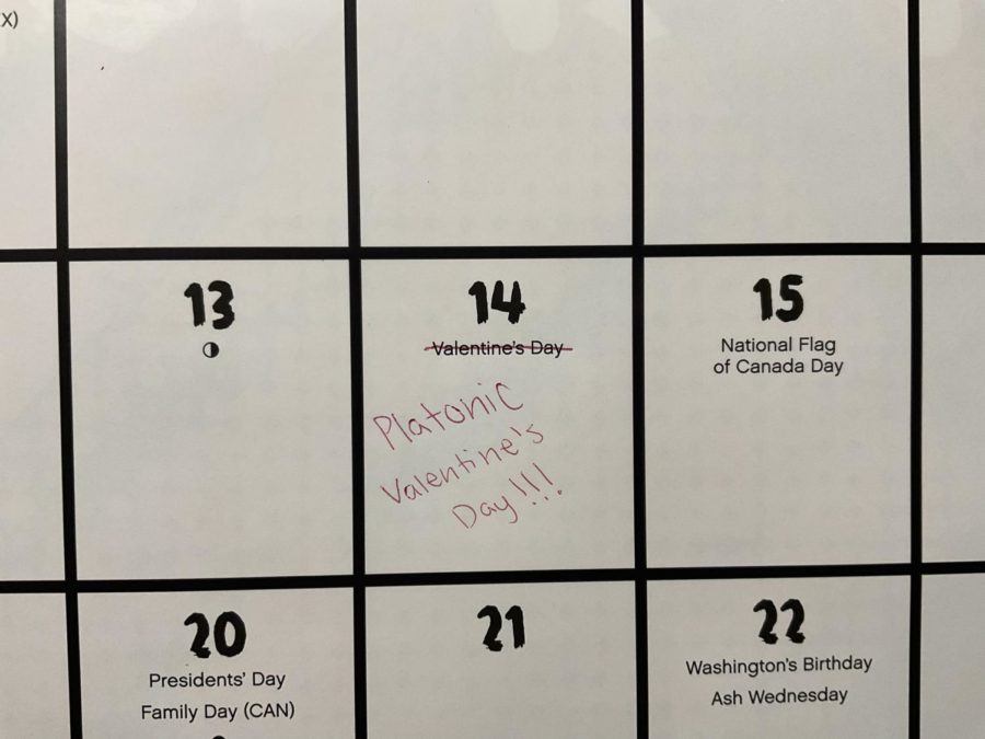 Valentine’s Day has been a plague for single people for centuries, but even platonic soulmates can enjoy Valentine’s Day. All you need is one or two people and a few gifts.