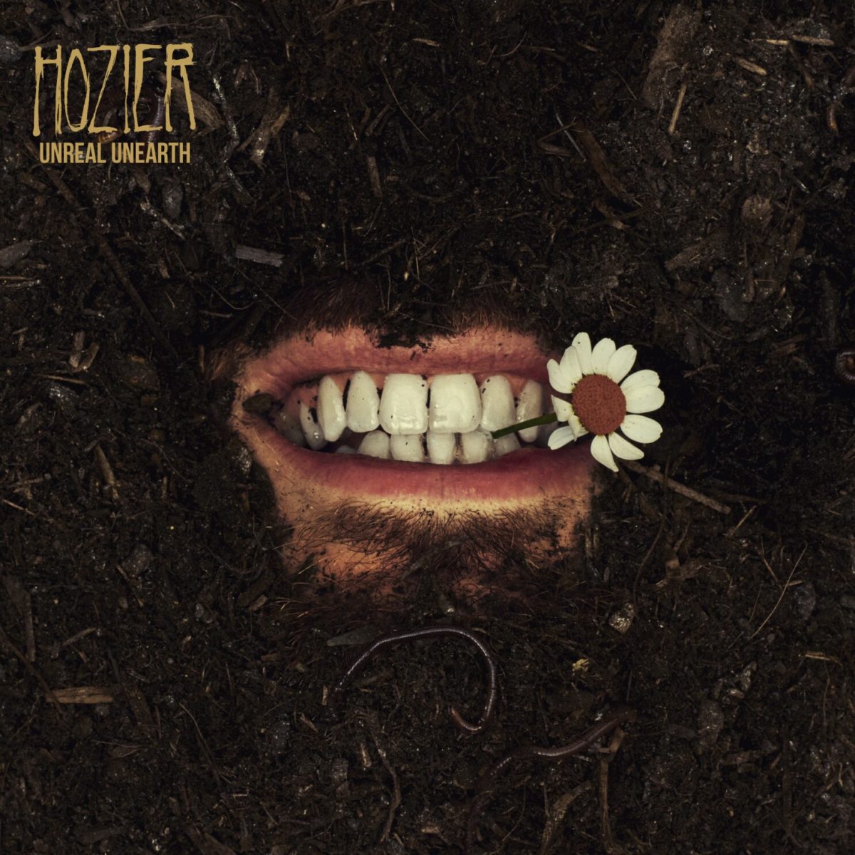 Hozier’s album covers are designed by his mother, Raine Hozier-Byrne. (Rubyworks Ltd./Columbia Records via AP)