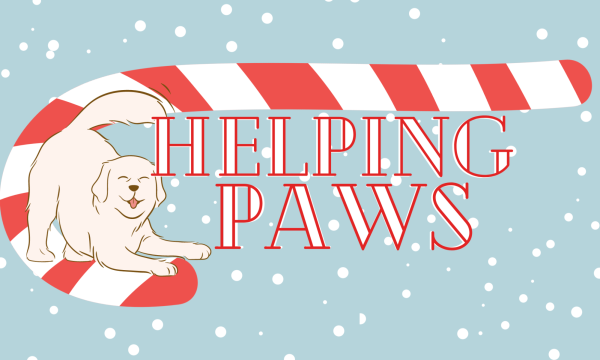 Infographic: Helping paws