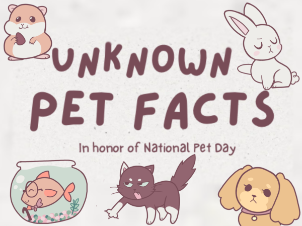 Infographic: Unknown Pet Facts