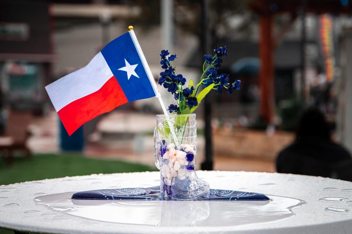 Photo Gallery: City of Carrollton TEXfest 3/7